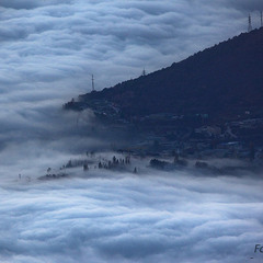Туман над городом