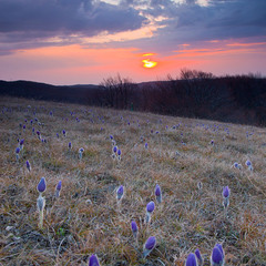 Весна на плато Ай-Петри