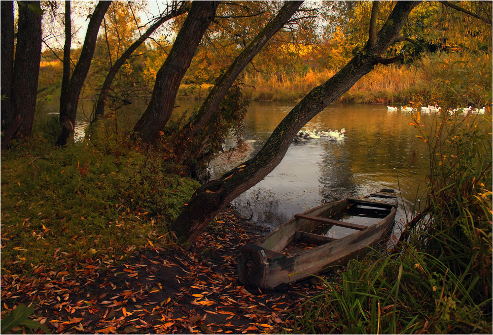 Осень лодка