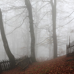 Туман і паркан
