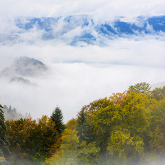 Пейзаж з туманом