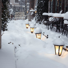 Подснежники