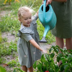 ...поливачка