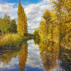 Золото канала