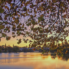 За кулисами