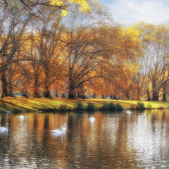 В одном из  парков Кельна