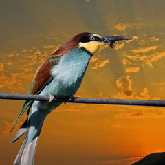 Вечерня трапеза