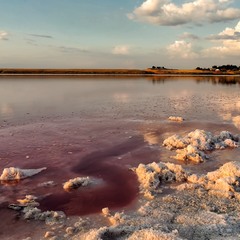 Розовое озеро (оз. Сиваш, Арабатская стрелка)