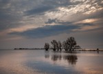 Ранкова