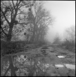 Немає дороги до щастя. Щастя і є дорога (Будда).