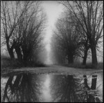 Навіщо ставитися до життя так серйозно. Вам все одно не вибратися із нього живими...