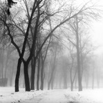 Зимовий парк