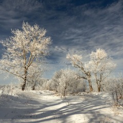 Зимова казка