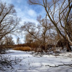 Зимова околиця міста