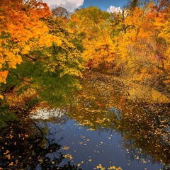 Осінній імпресіонізм