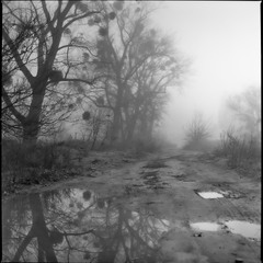 Немає дороги до щастя. Щастя і є дорога (Будда).