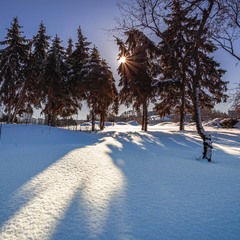 Зимове сонце стало над рікою... Сніги лежать… Зрання мороз…