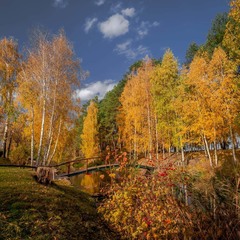 А осінь золота барвиста й кольорова....