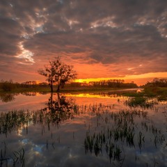 Трагічний осінній ранок....