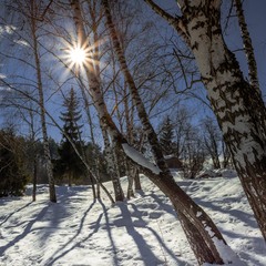 Зимовий день - яскравим сонцем зустрічає, у розпалі зими дарує променів тепло