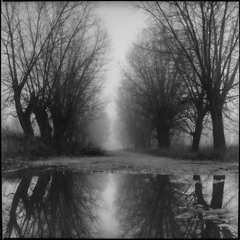 Навіщо ставитися до життя так серйозно. Вам все одно не вибратися із нього живими...