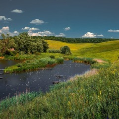 Україна - рідний край, поле, річка, синій гай