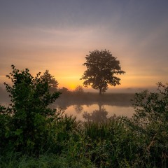 Сходить сонечко