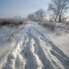 Зимова дорога до міста