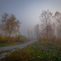 Глибока осінь-туманна пора