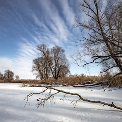 Зима на околицях міста морозна і сніжна!