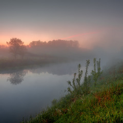 Ліг туман перед світанком, річку вкрив, у травах заблукав, про дитинство босоноге нагадав...