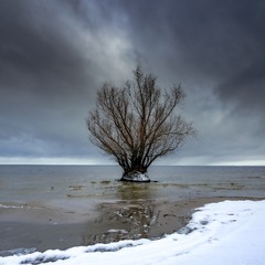 Одинокість