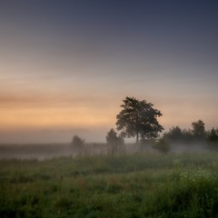 Пустотність - невід'ємний фактор простору