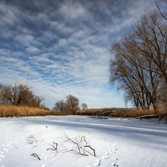 Зимовий день