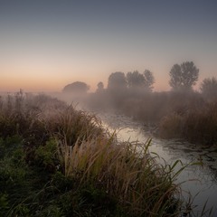 Туманний ранок на Тясмині