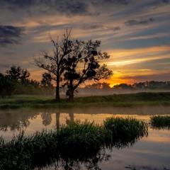 Світанок на Тясмині