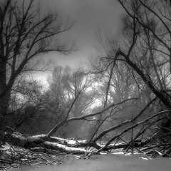 Не дозволяй злу запевнити тебе, що у тебе можуть бути таємниці від нього. Ф.Кафка