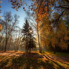 Осіннє світло