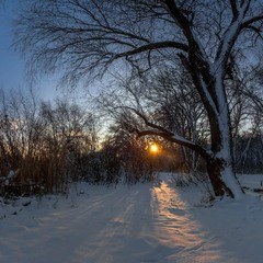 Вночі почули небеса моє прохання - сипнули щедро білим снігом на світанні....
