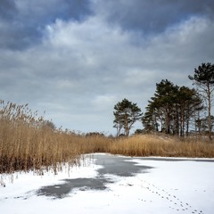 Прийшла зима, скувала річку