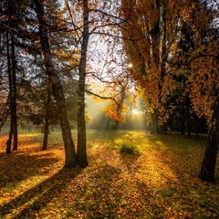 Осінній ранок