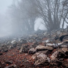 Вода в Дніпрі зійшла і камені накрив густий туман...