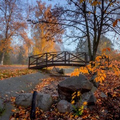 Осінь. Листопад.