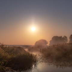 Зійшло сонце - новий день почався....