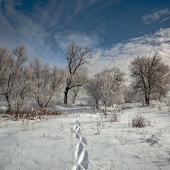 Слід на снігу