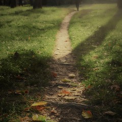 Минуло літо