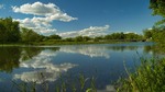 Тихо над річкою