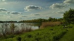 Ні хвоста, ні луски...