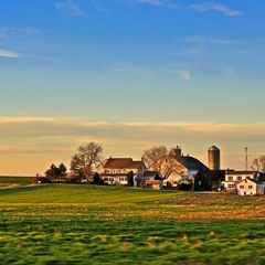 Амишська фарма в променях ранкового сонця.