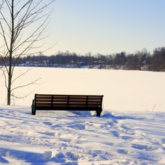 Вочікуванні весни.